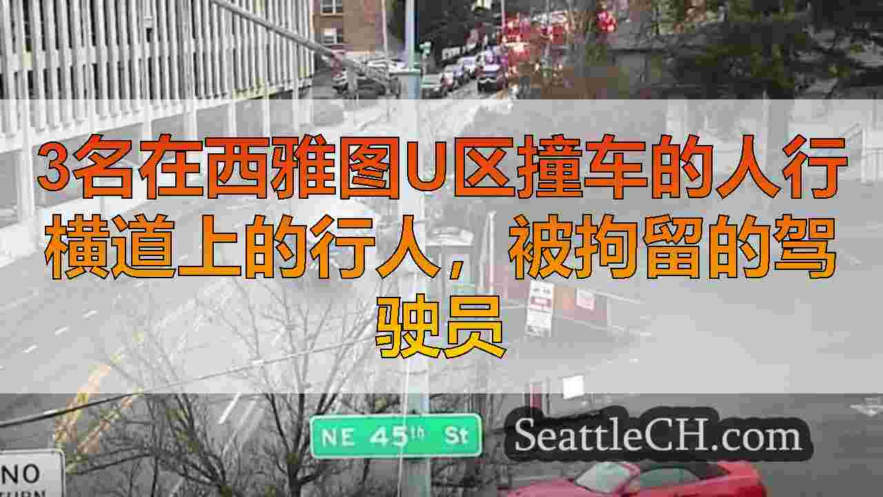 西雅图新闻 SeattleCH