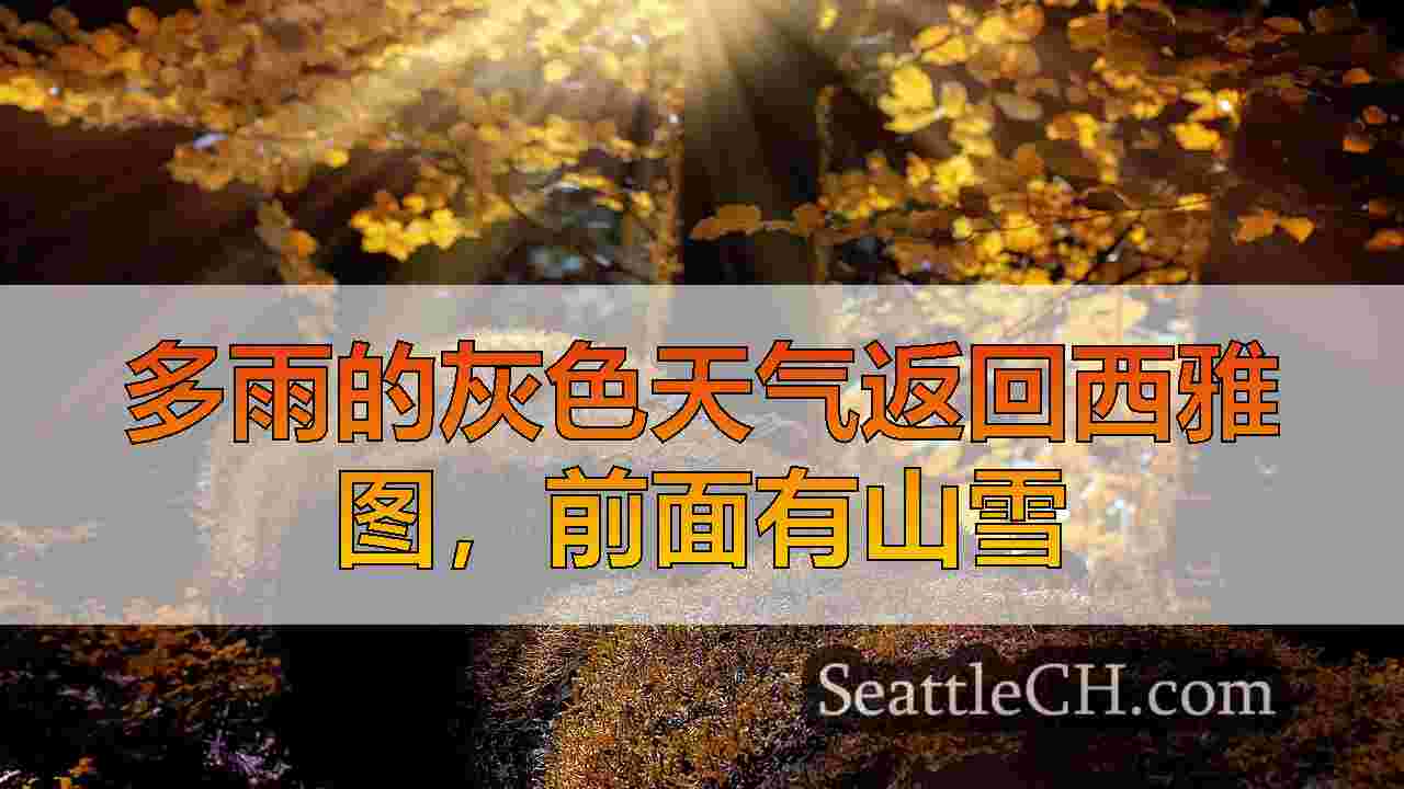 西雅图新闻 SeattleCH