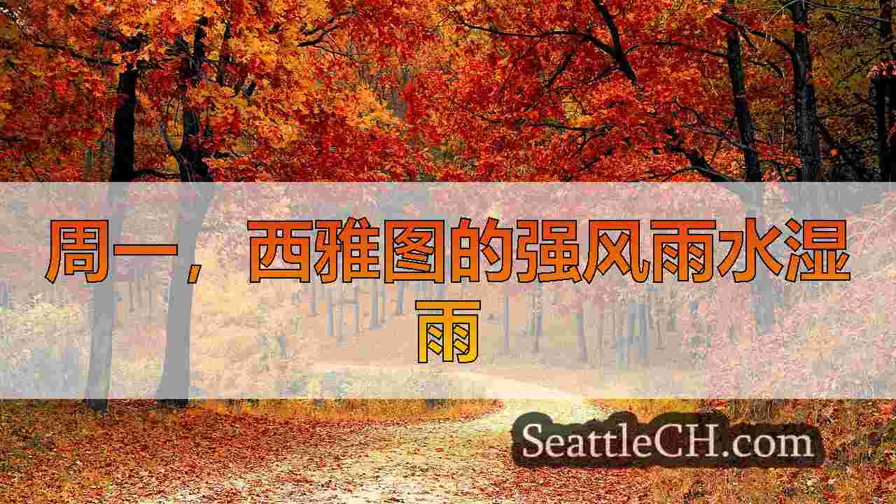 西雅图新闻 SeattleCH
