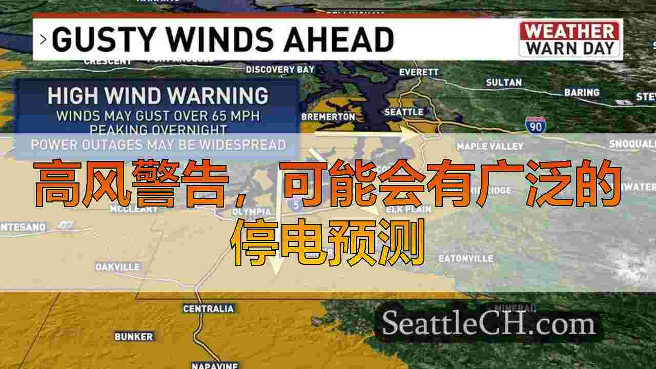高风警告，可能会有广泛的停电预测