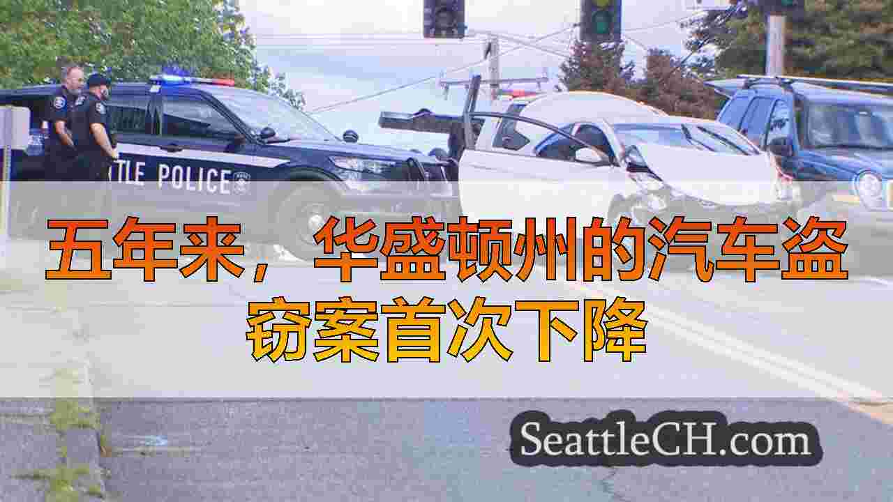 五年来，华盛顿州的汽车盗窃案首次下降