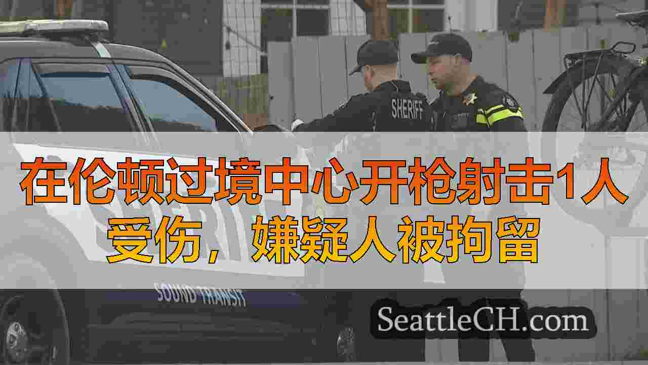 在伦顿过境中心开枪射击1人受伤，嫌疑人被拘留