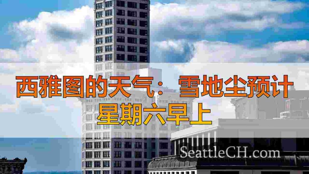 西雅图的天气：雪地尘预计星期六早上