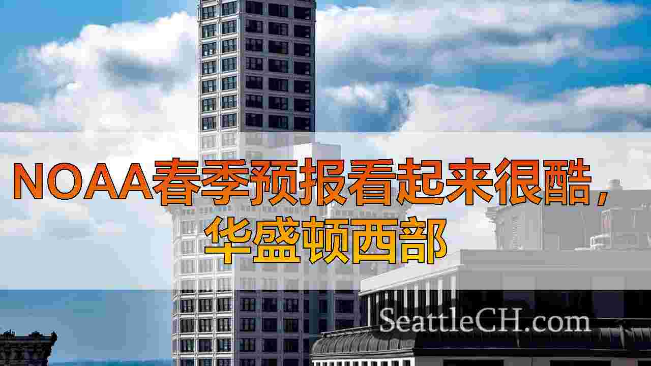 西雅图新闻 SeattleCH