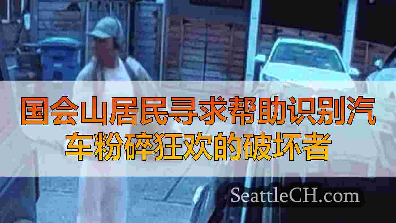 国会山居民寻求帮助识别汽车粉碎狂欢的破坏者