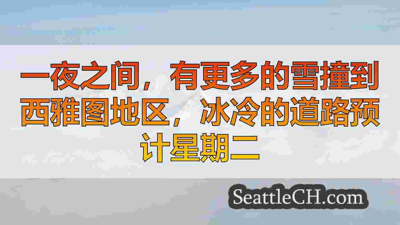西雅图新闻 SeattleCH