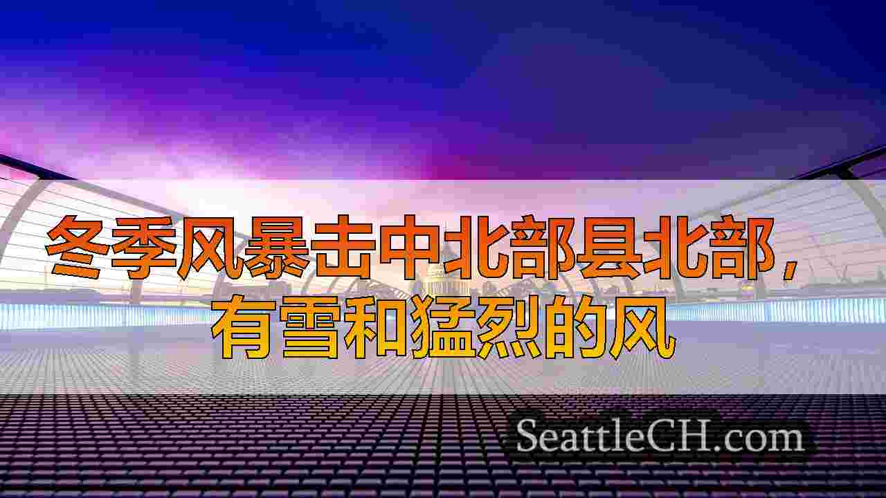 西雅图新闻 SeattleCH