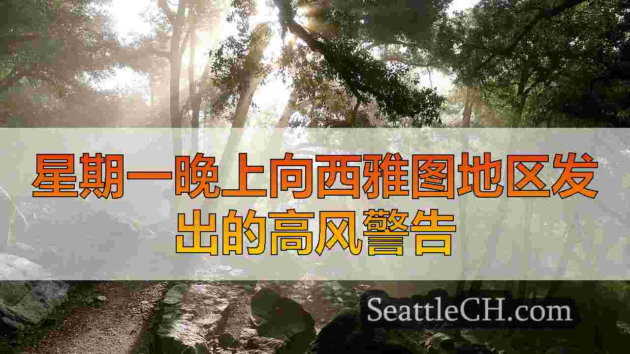 西雅图新闻 SeattleCH