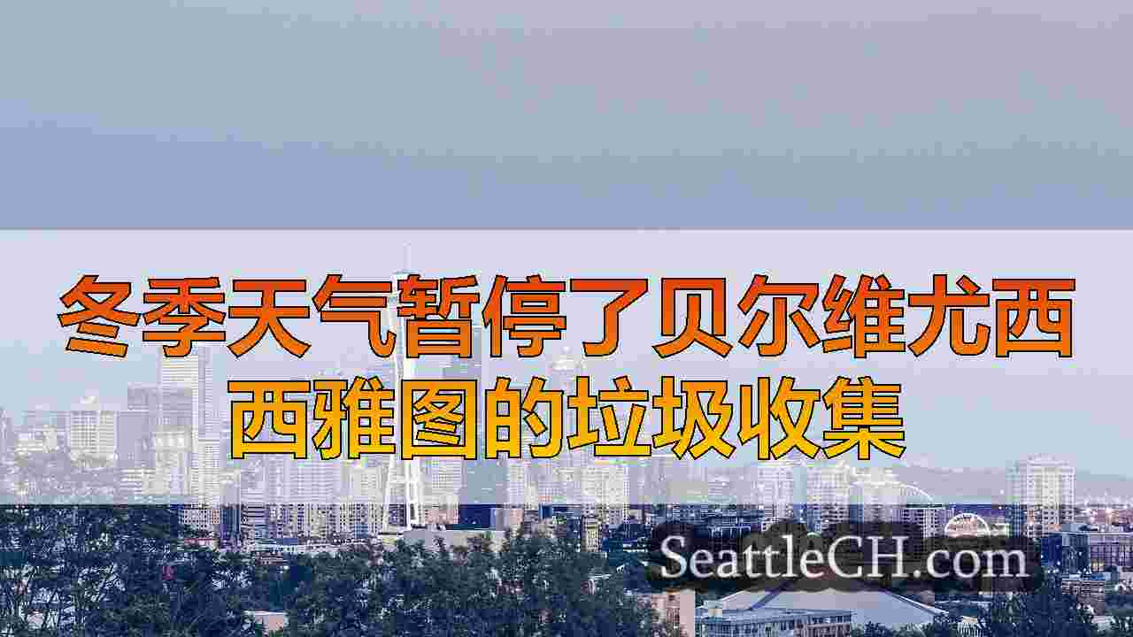 西雅图新闻 SeattleCH