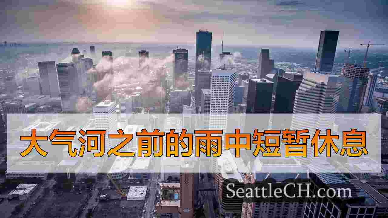 西雅图新闻 SeattleCH