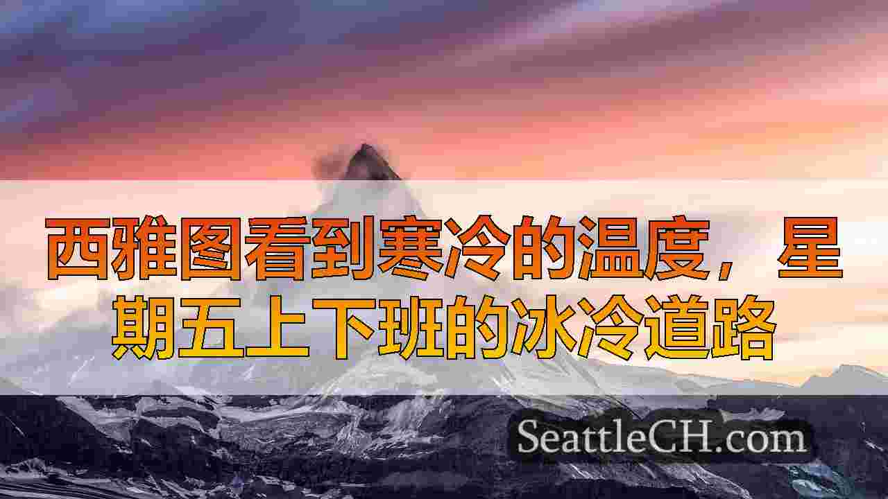 西雅图新闻 SeattleCH