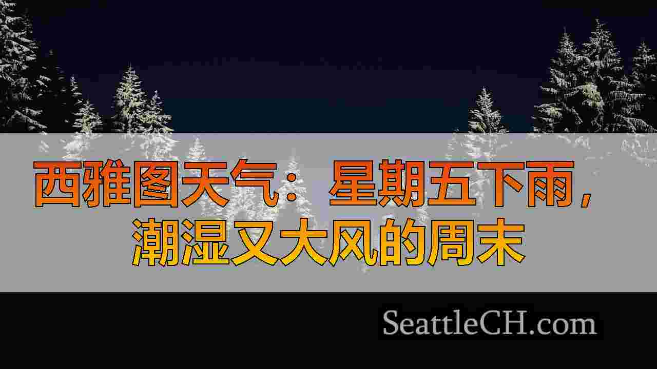 西雅图新闻 SeattleCH