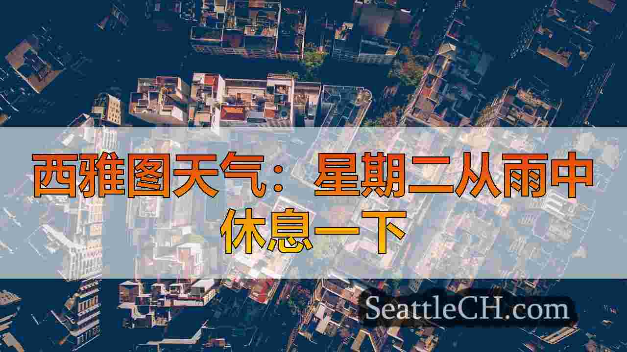 西雅图新闻 SeattleCH