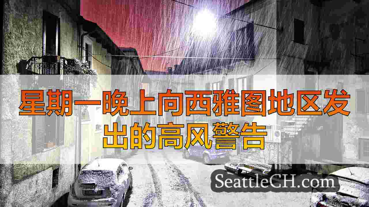 西雅图新闻 SeattleCH