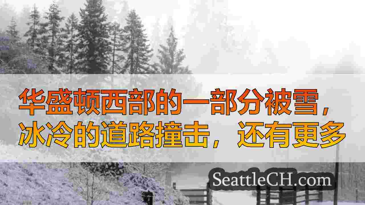 西雅图新闻 SeattleCH