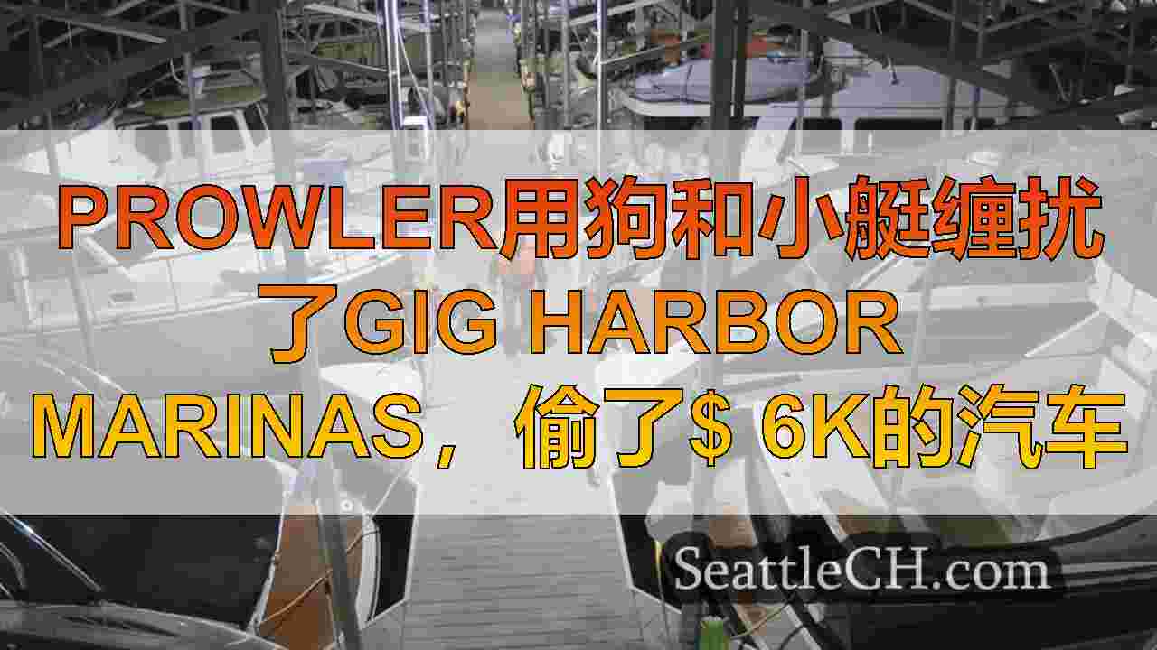 Prowler用狗和小艇缠扰了Gig Harbor Marinas，偷了$