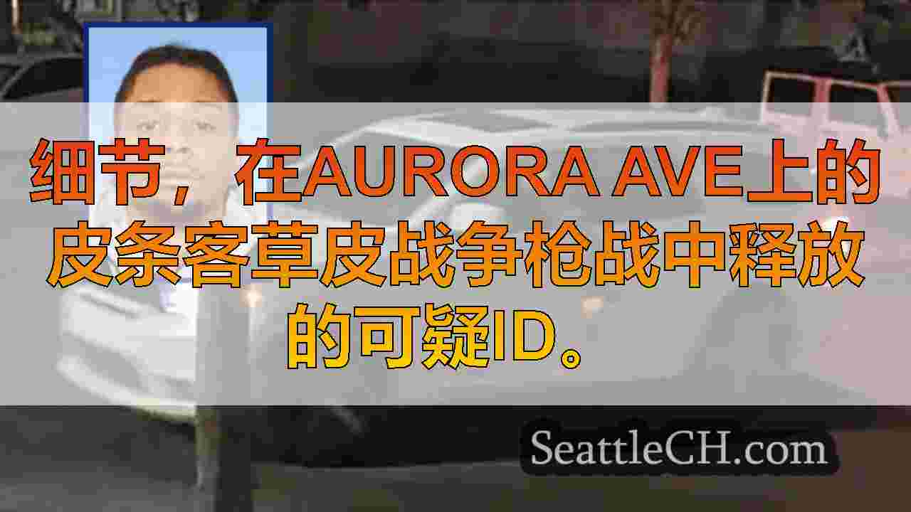 细节，在Aurora Ave上的皮条客草皮战争枪战中释放的可疑ID。