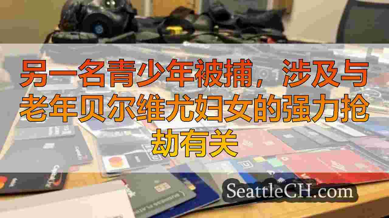 西雅图新闻 SeattleCH