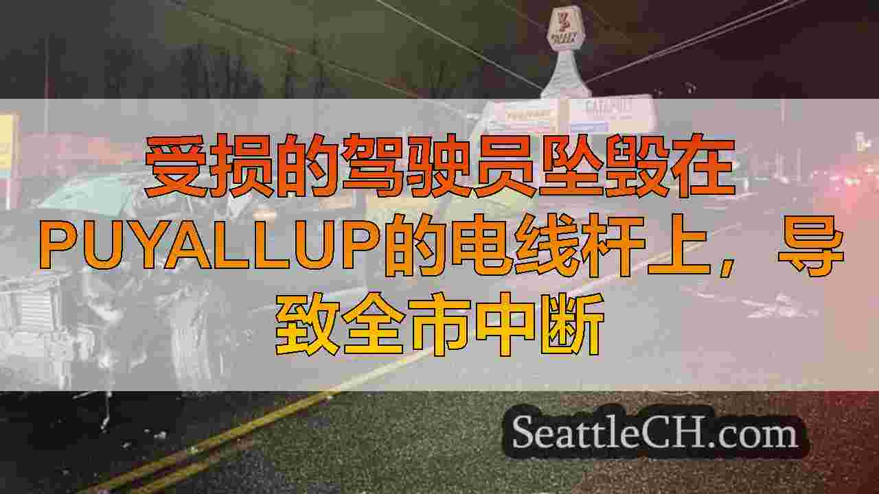 受损的驾驶员坠毁在Puyallup的电线杆上，导致全市中断