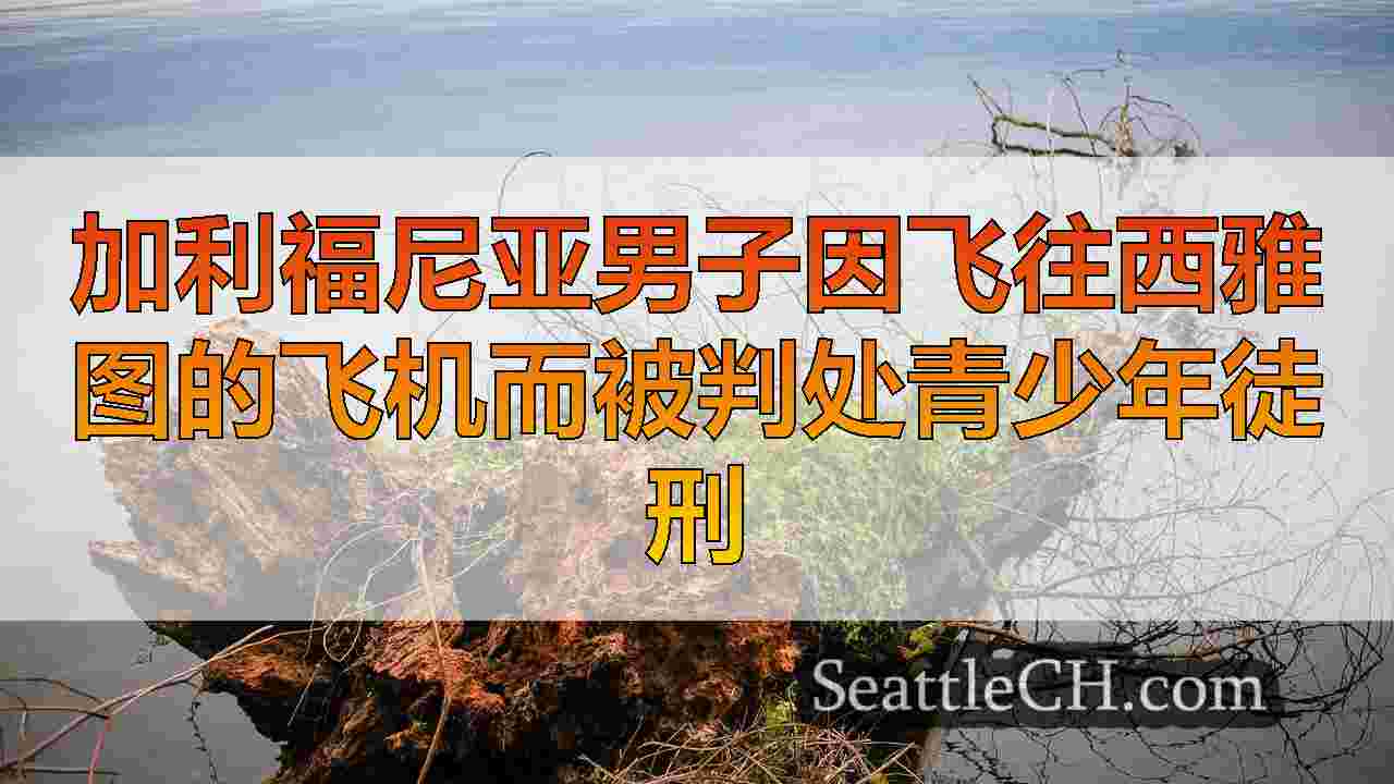加利福尼亚男子因飞往西雅图的飞机而被判处青少年徒刑