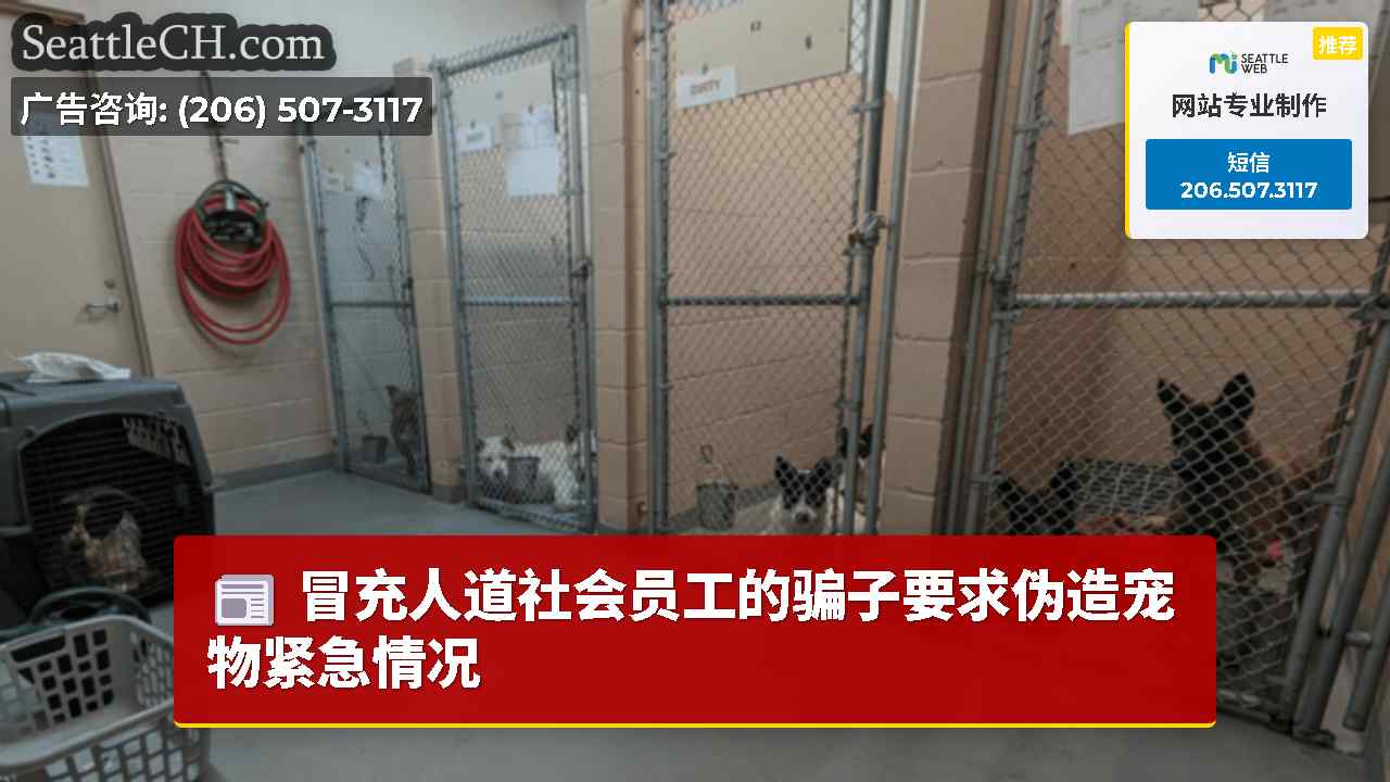 冒充人道社会员工的骗子要求伪造宠物紧急情况