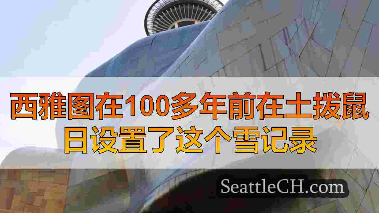 西雅图新闻 SeattleCH