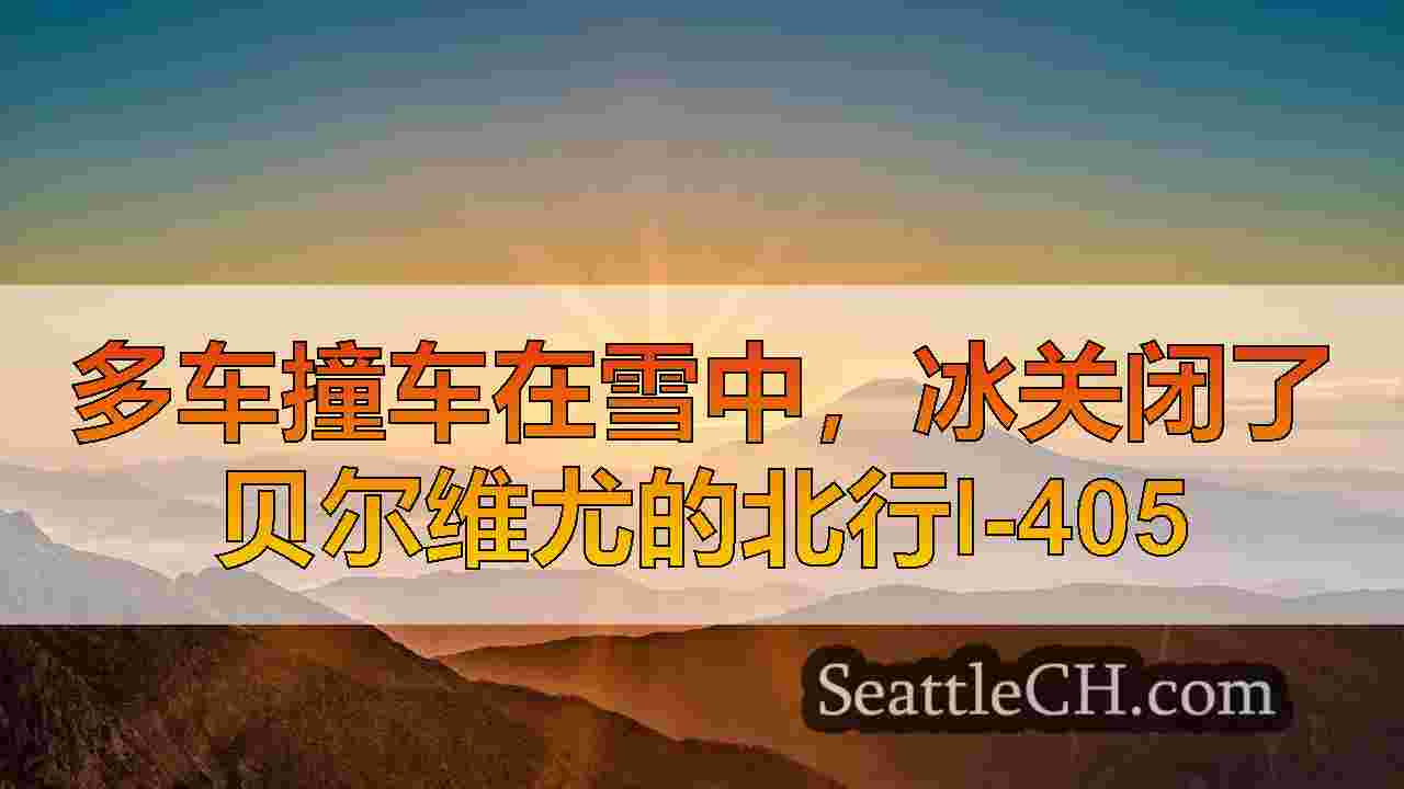 西雅图新闻 SeattleCH