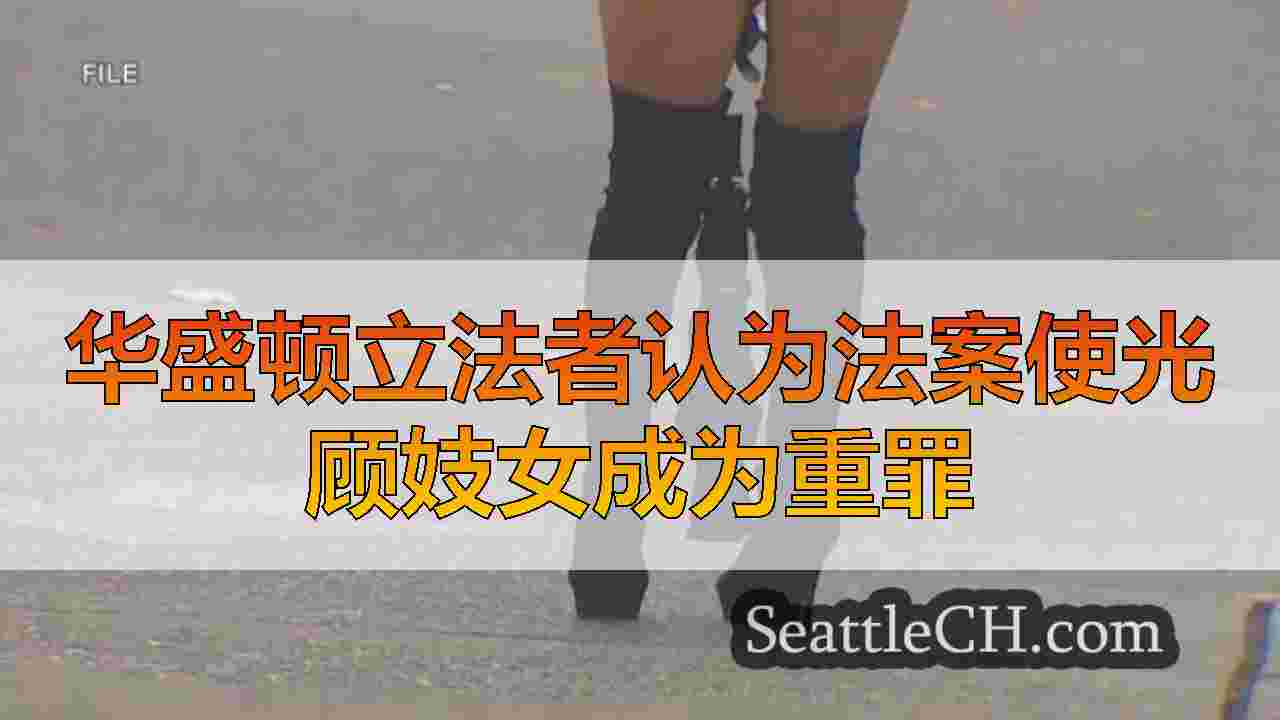 西雅图新闻 SeattleCH