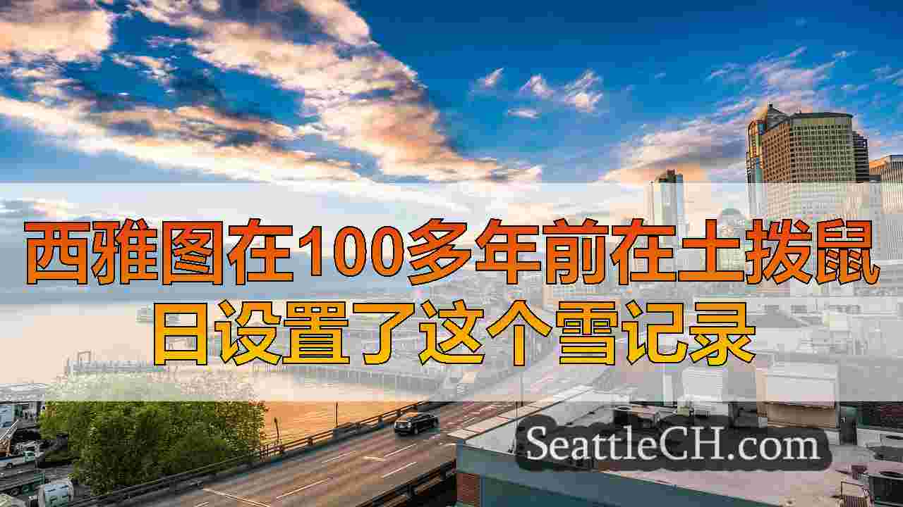 西雅图新闻 SeattleCH