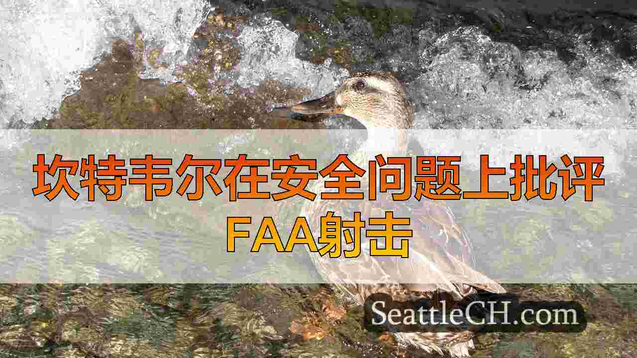 西雅图新闻 SeattleCH