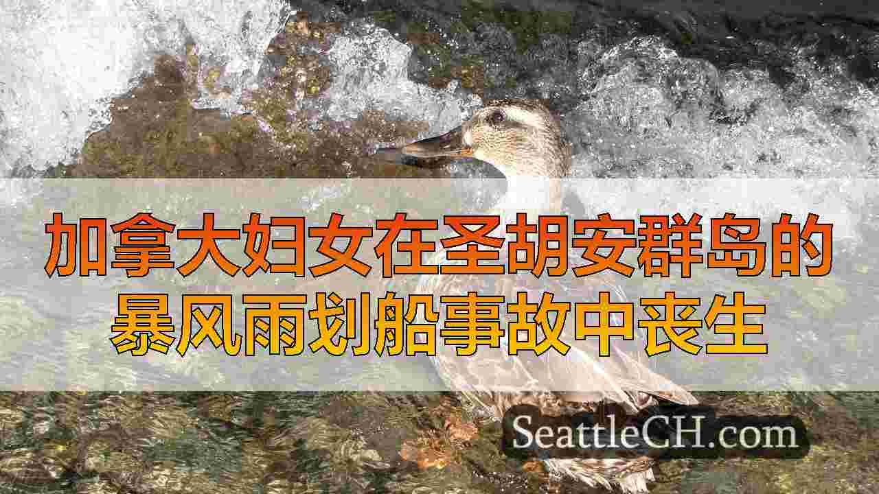 西雅图新闻 SeattleCH