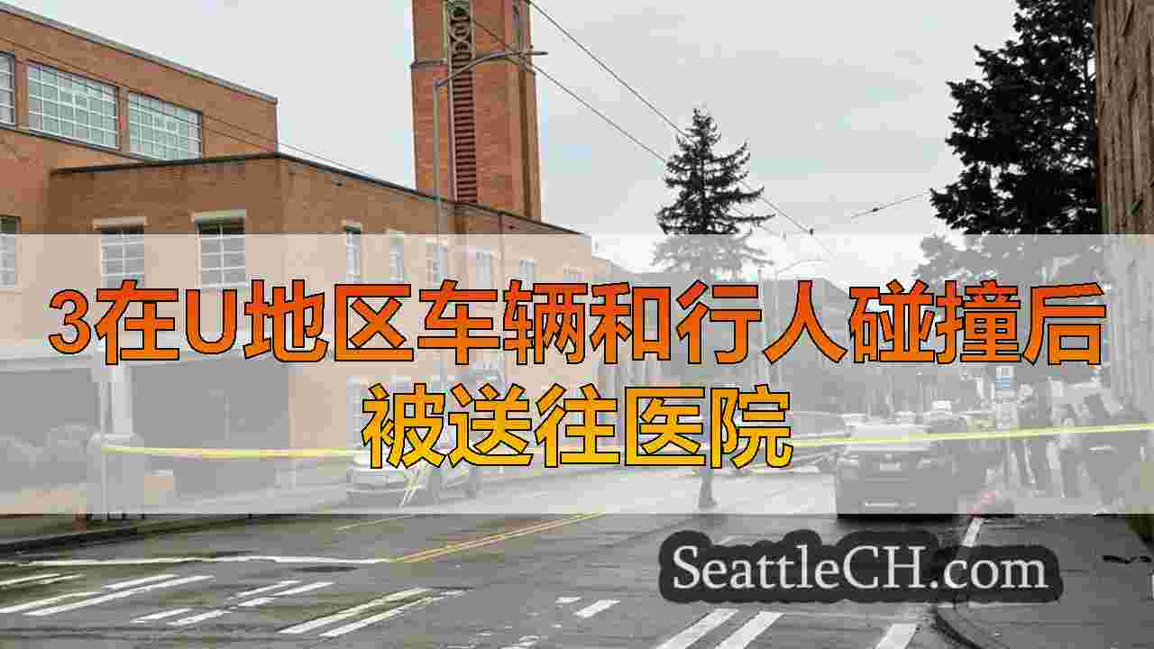 3在U地区车辆和行人碰撞后被送往医院