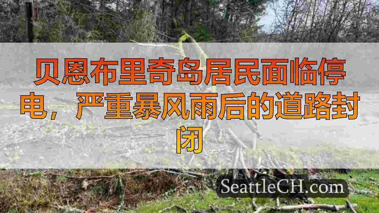 西雅图新闻 SeattleCH