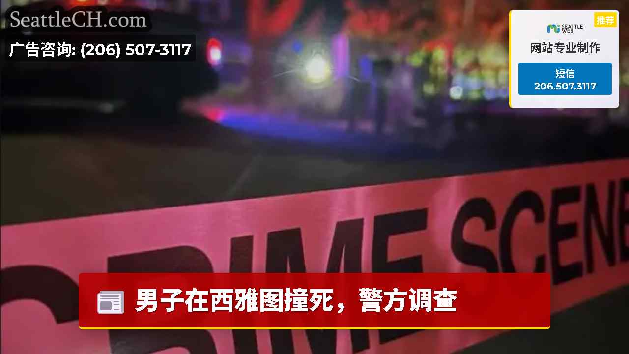 男子在西雅图撞死，警方调查