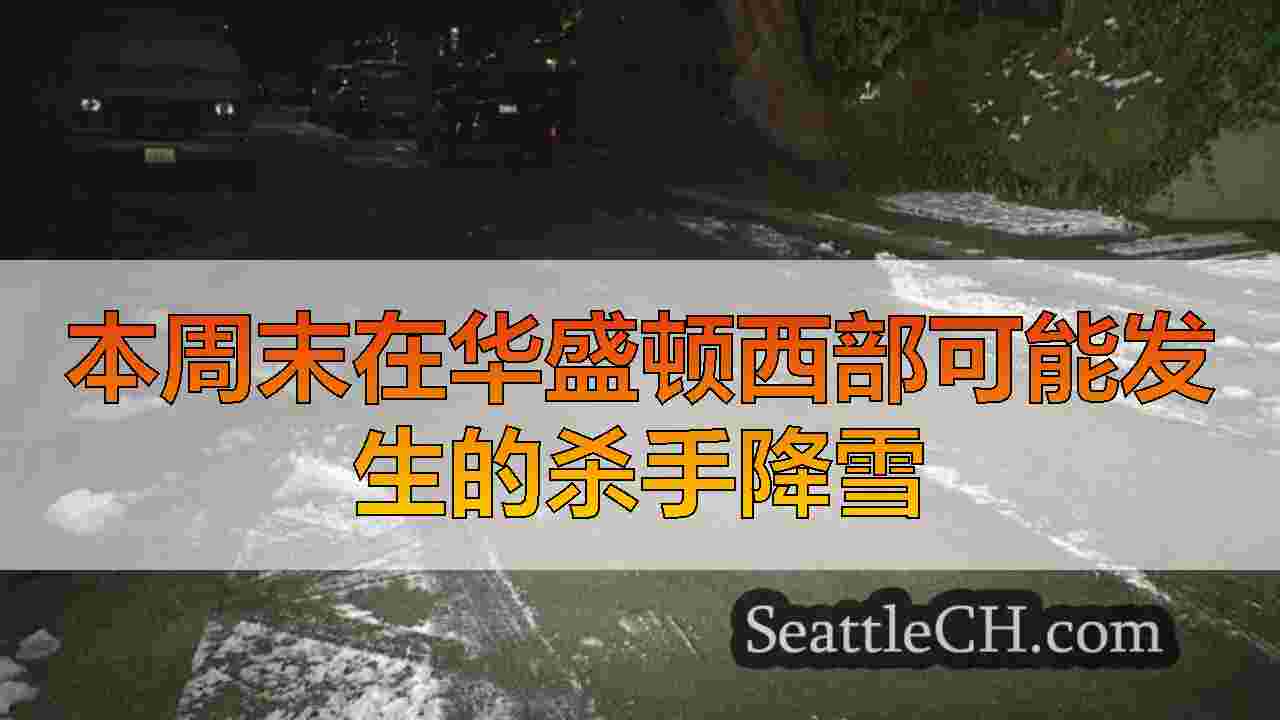 西雅图新闻 SeattleCH