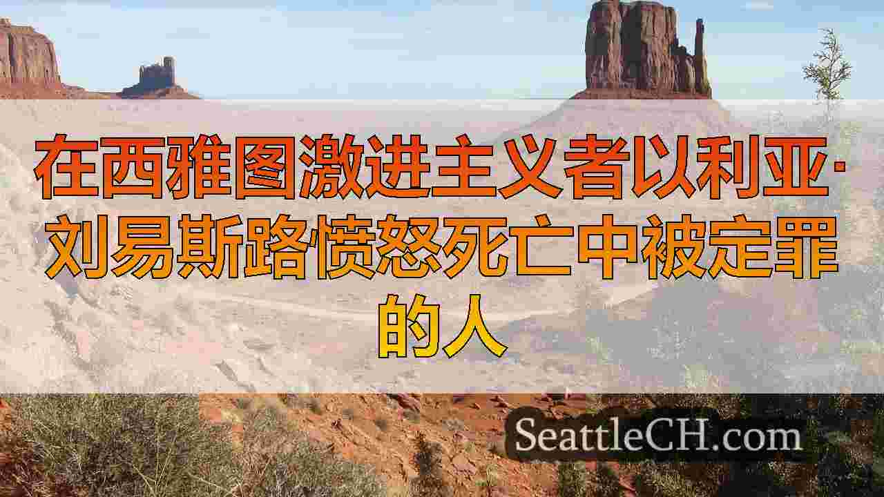 西雅图新闻 SeattleCH