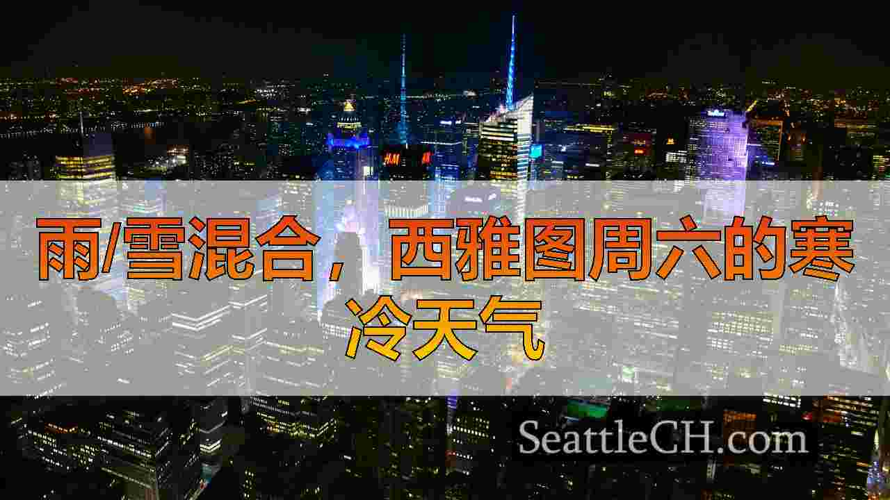 西雅图新闻 SeattleCH