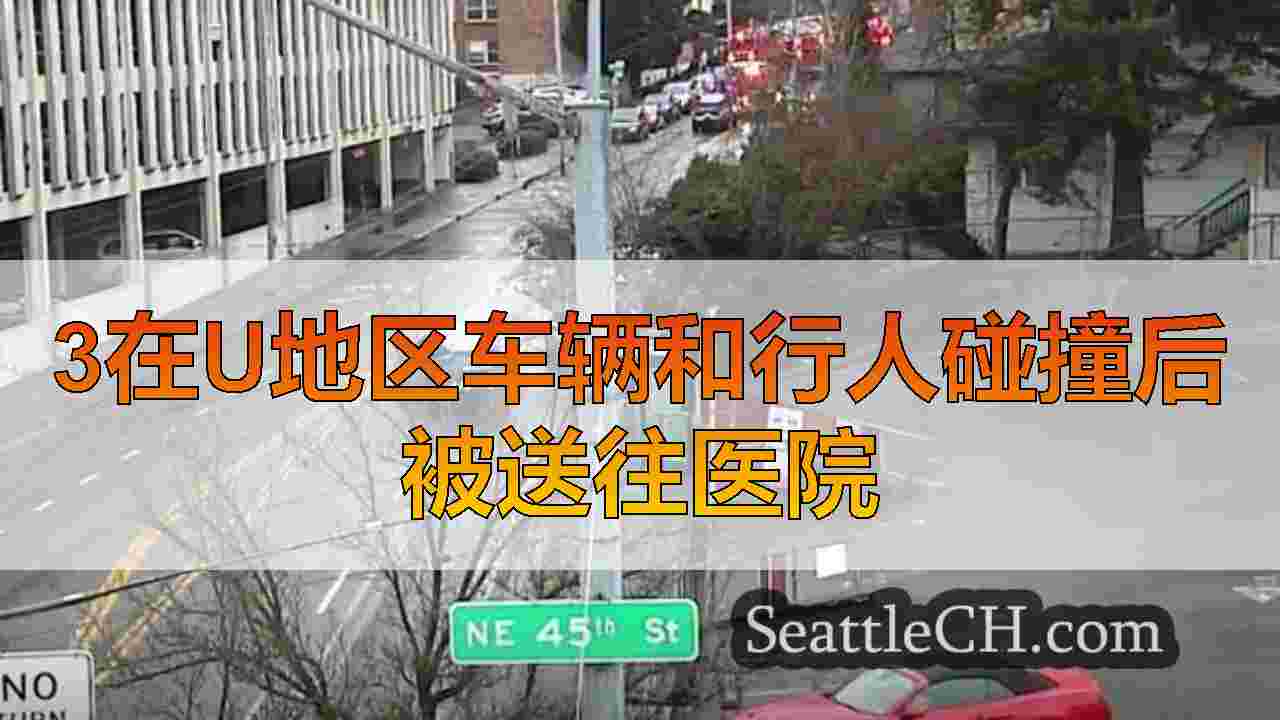 西雅图新闻 SeattleCH