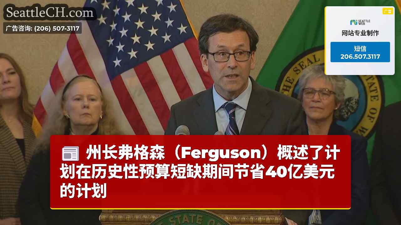 州长弗格森（Ferguson）概述了计划在历史性预算短缺期间节省40亿美元的计划