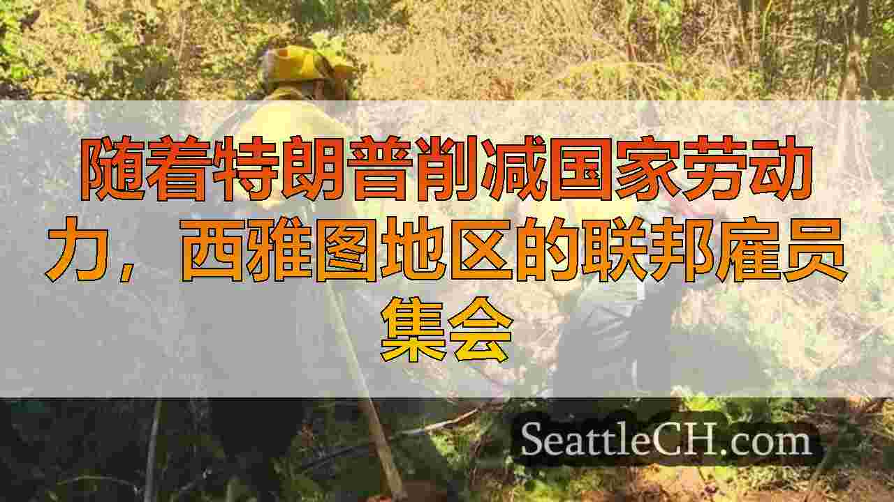 西雅图新闻 SeattleCH