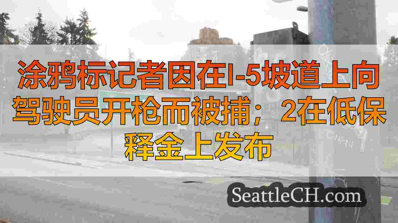涂鸦标记者因在I-5坡道上向驾驶员开枪而被捕；2在低保释金上发布