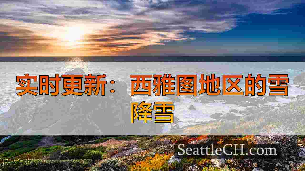 西雅图新闻 SeattleCH