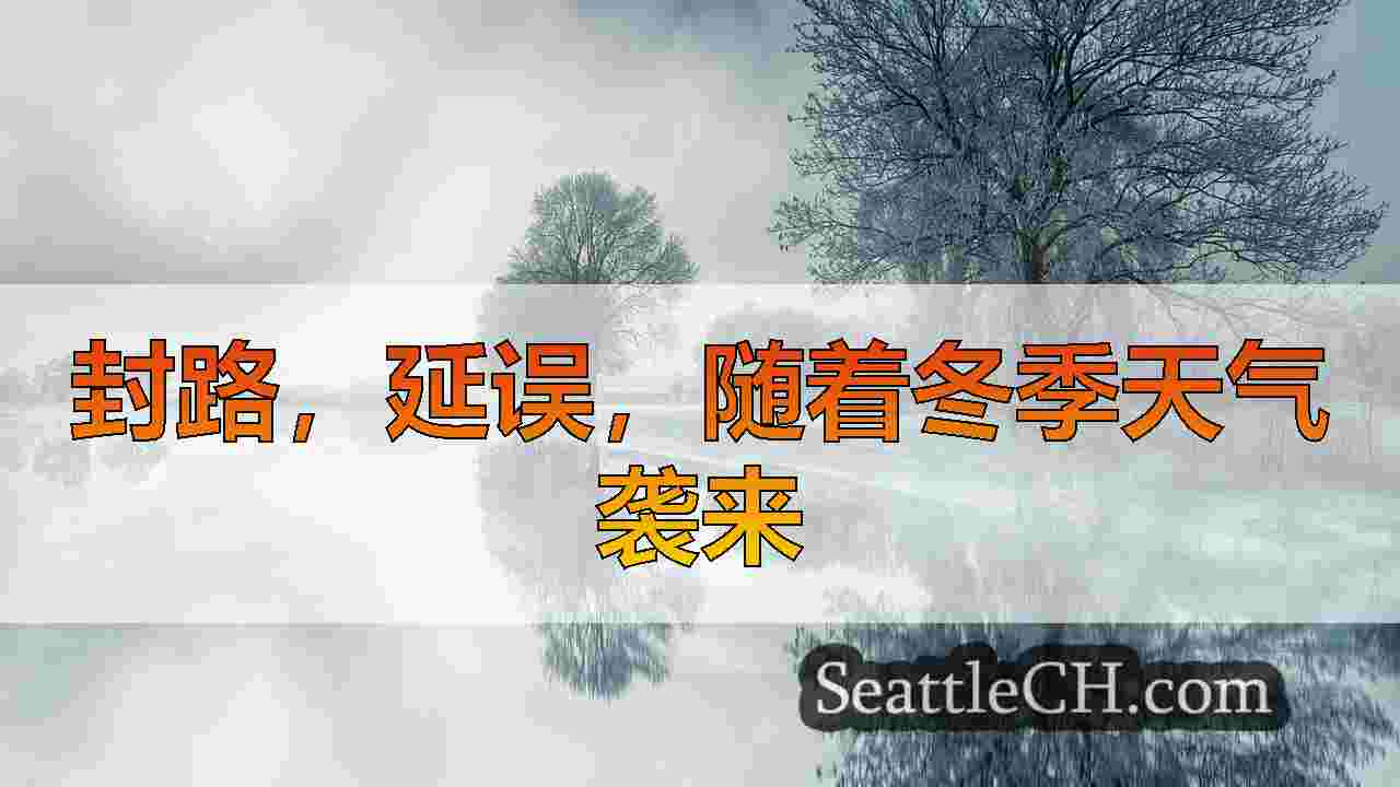 西雅图新闻 SeattleCH