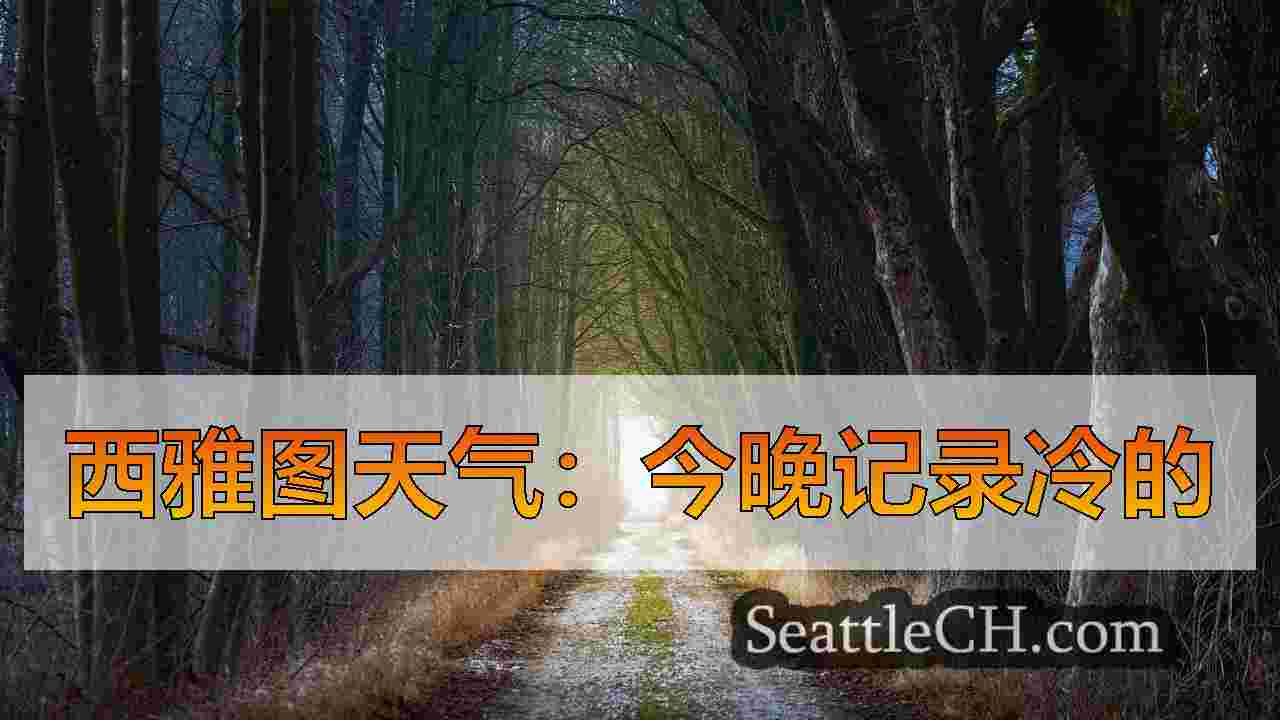 西雅图新闻 SeattleCH