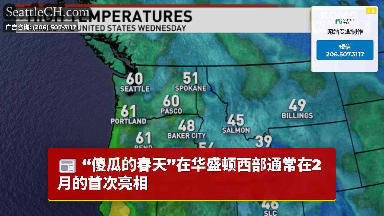 西雅图新闻 SeattleCH