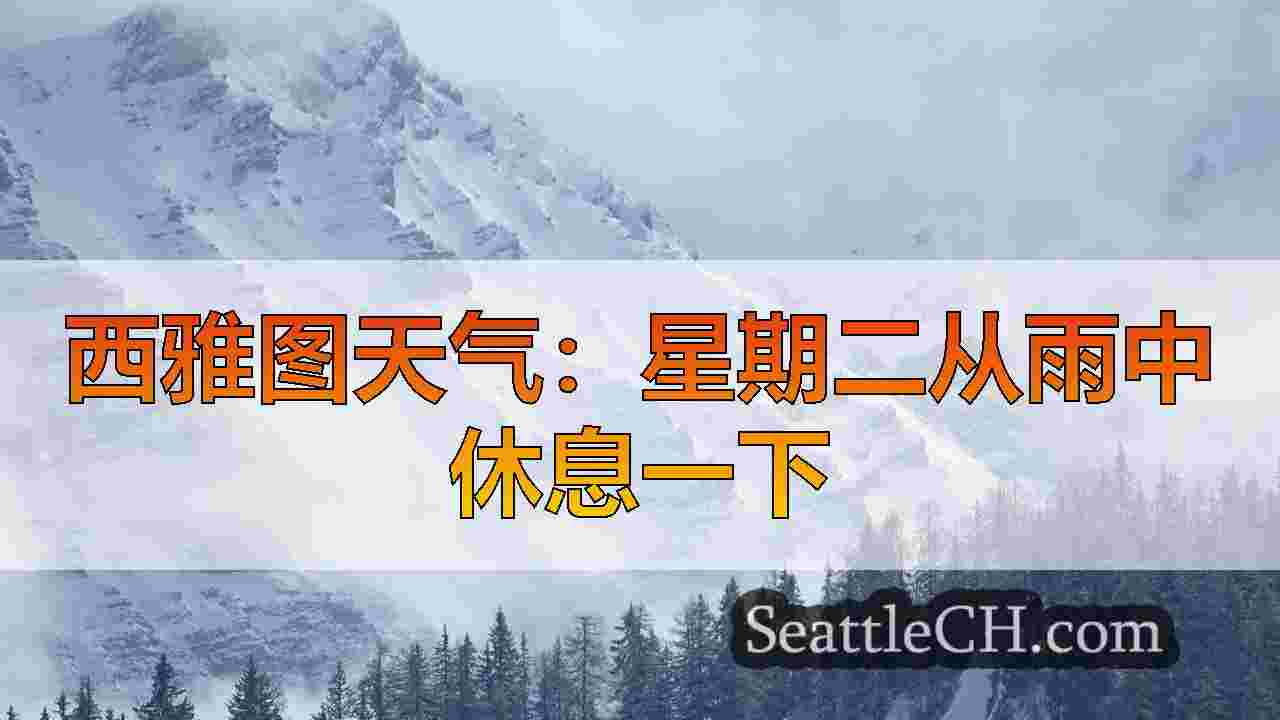 西雅图新闻 SeattleCH
