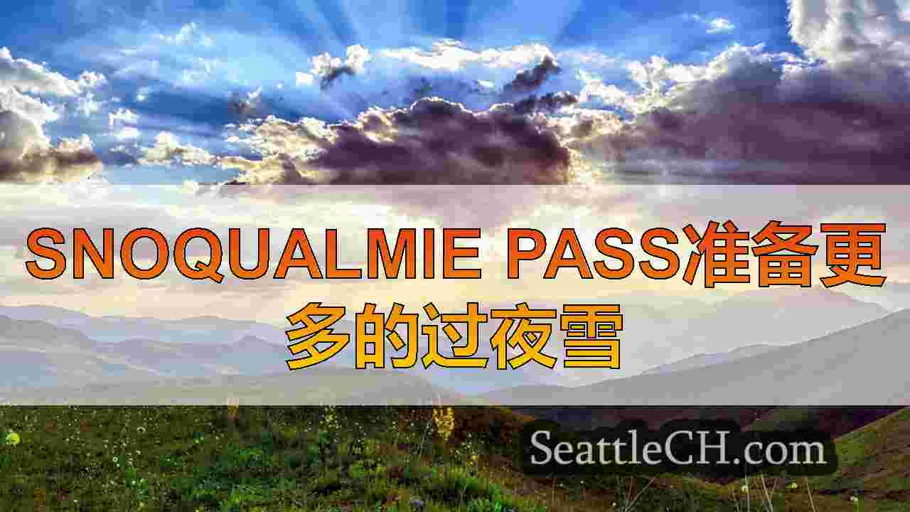 西雅图新闻 SeattleCH