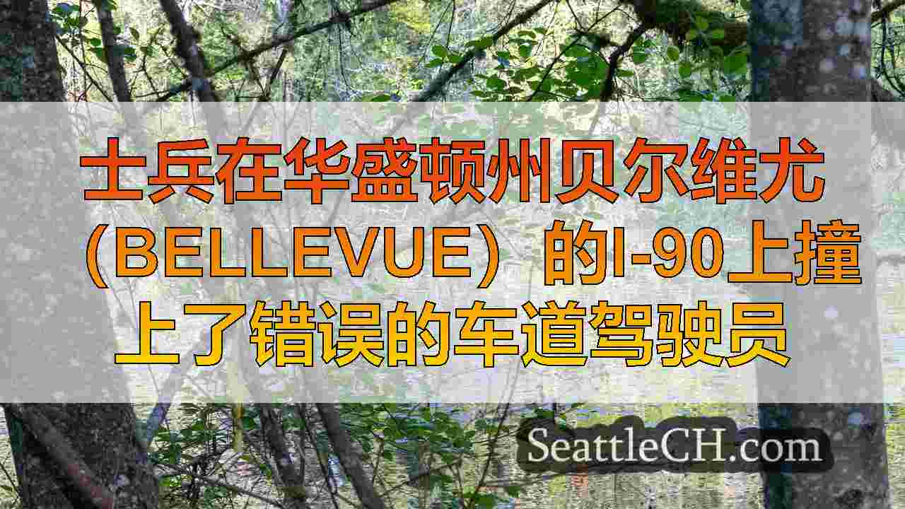 士兵在华盛顿州贝尔维尤（Bellevue）的I-90上撞上了错误的车道驾驶员