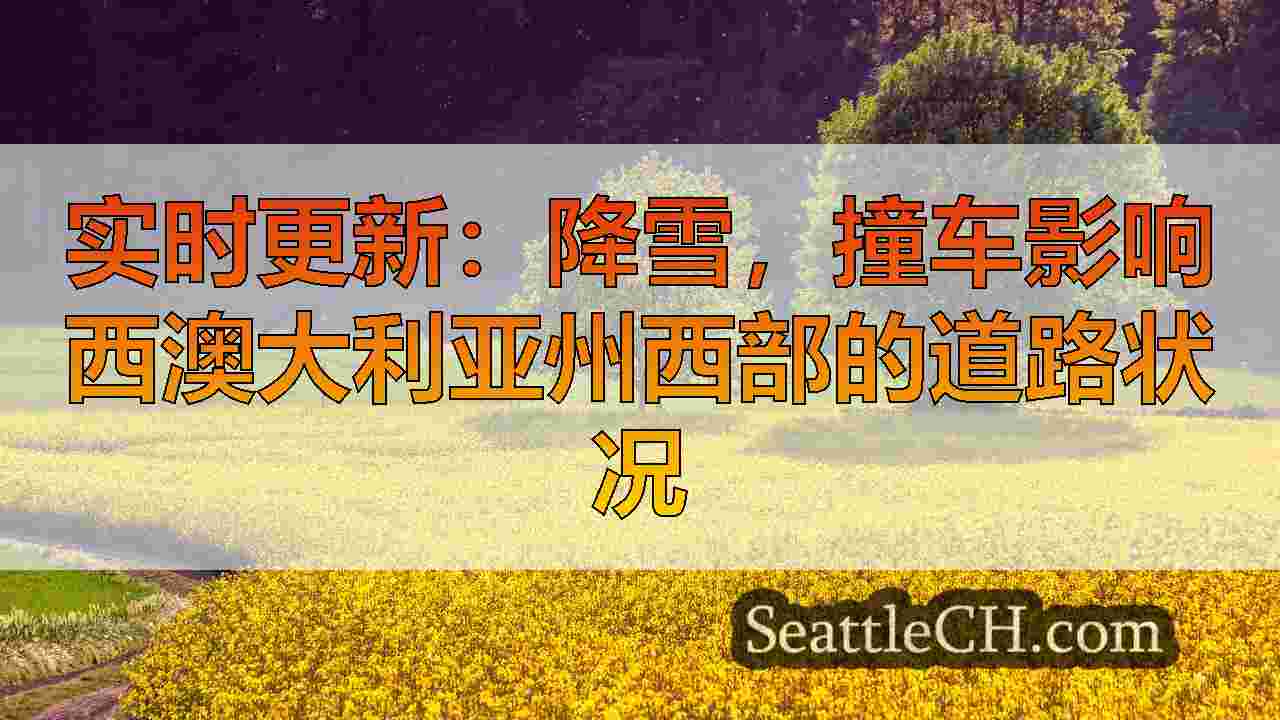 西雅图新闻 SeattleCH