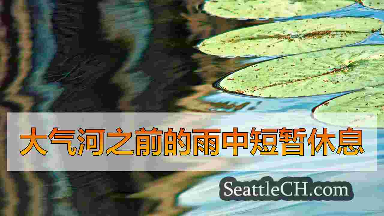 大气河之前的雨中短暂休息